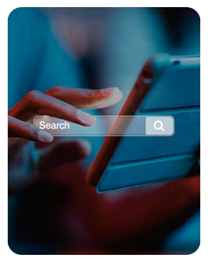 SEO Primepeak
