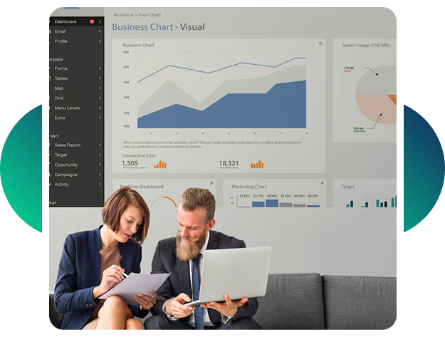 Custom ERP/CRM