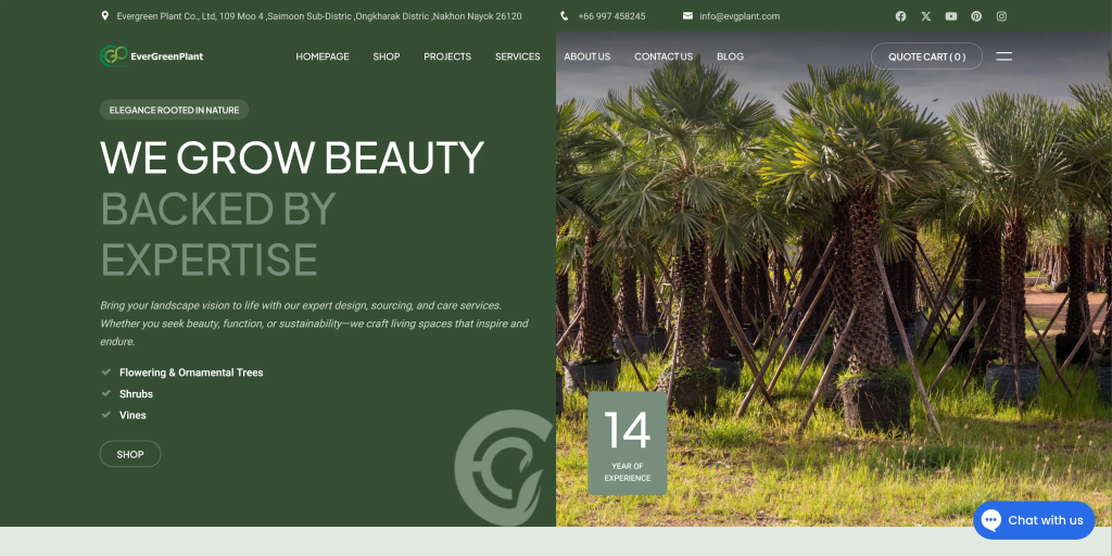 evergreen plant web design