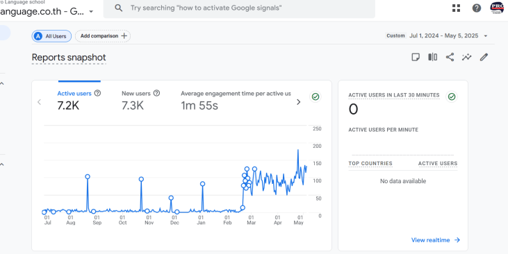 Prolanguage SEO