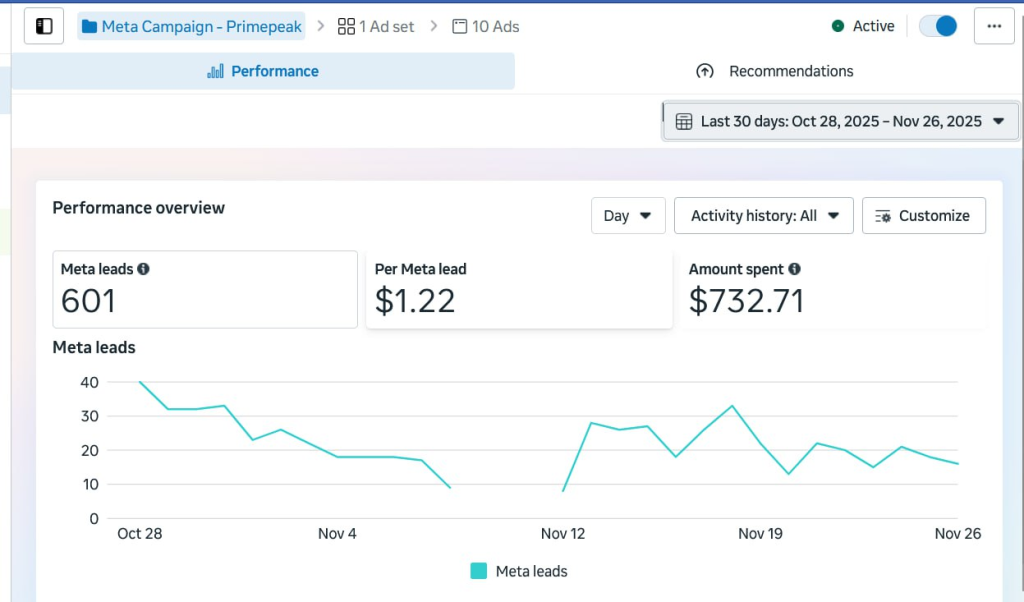 Alemi Group Meta campaign results showing 600 leads generated through optimized Meta ads