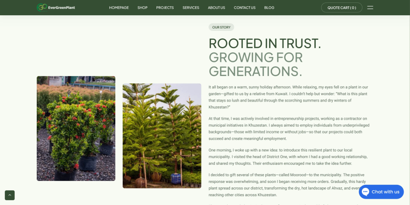 evergreen plant web design