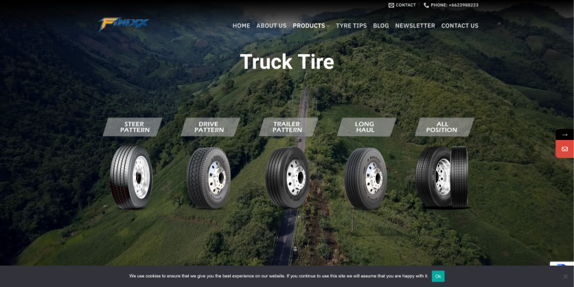 finixx web design